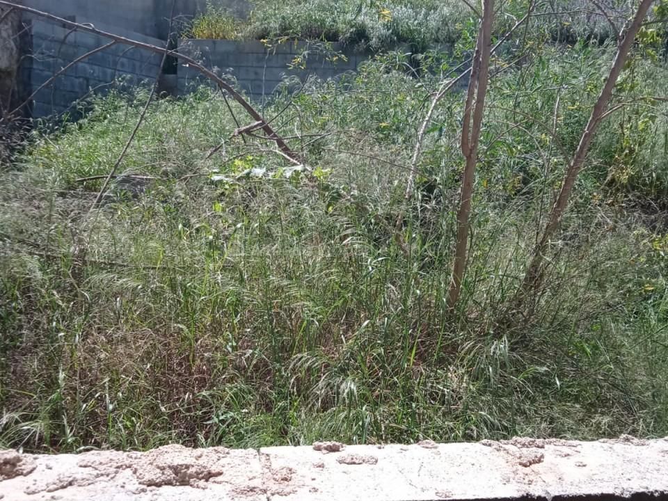 Farm hus i Arboleas, Almeria - foto 3