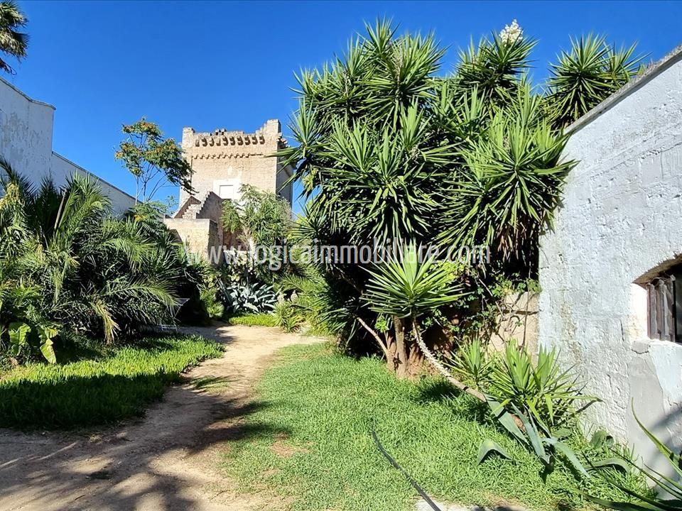 Gårdshus i Nardo, Lecce - bilde 3