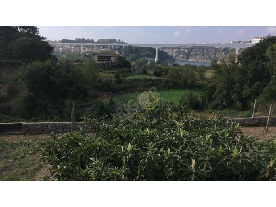 Helårsgrund i Oliveira do Douro, Porto - foto 1