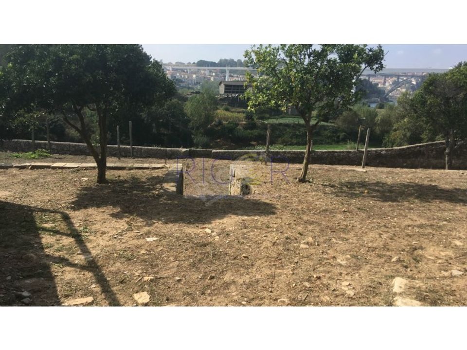 Helårsgrund i Oliveira do Douro, Porto - foto 2