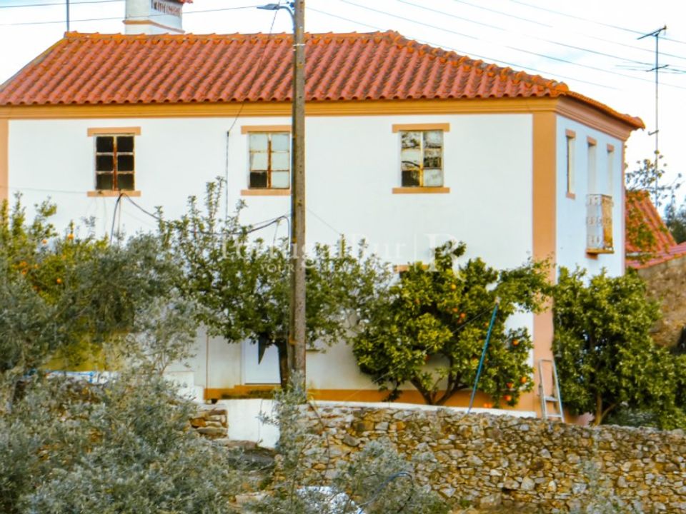 Landejendom i Proenca-a-Nova, Castelo Branco - foto 1