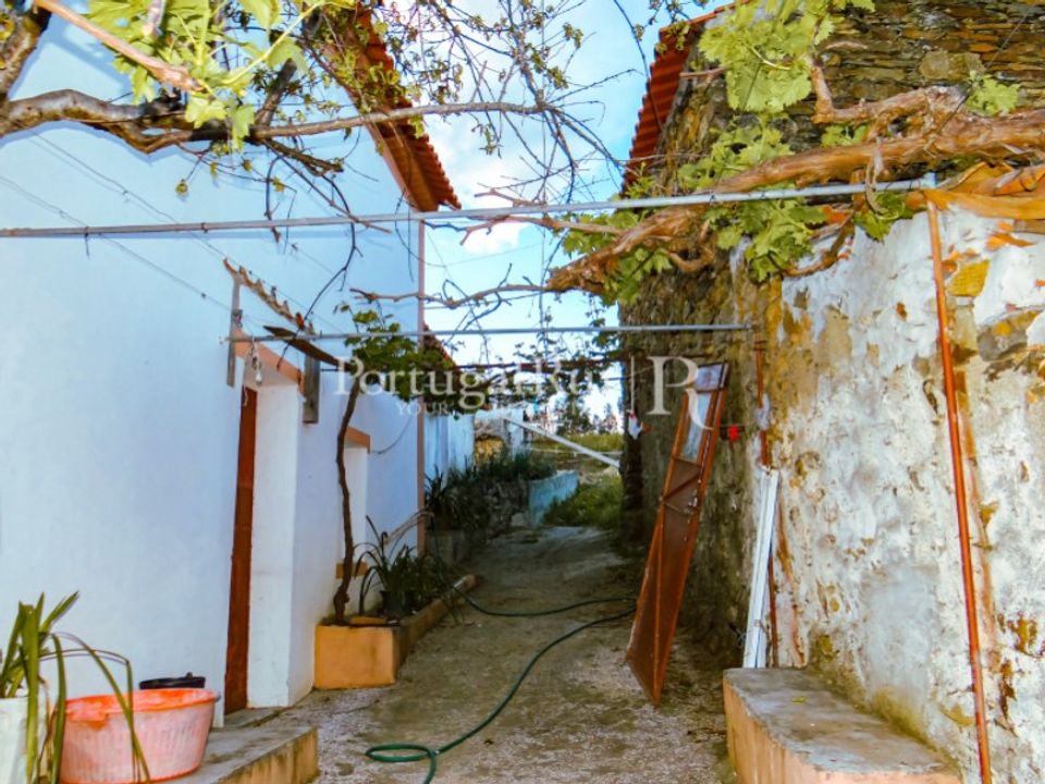 Landejendom i Proenca-a-Nova, Castelo Branco - foto 4