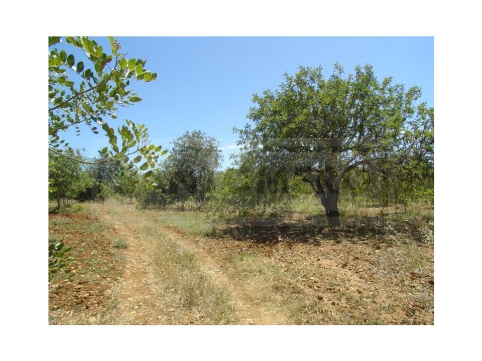 Helårsgrund i Albufeira, Faro - foto 4