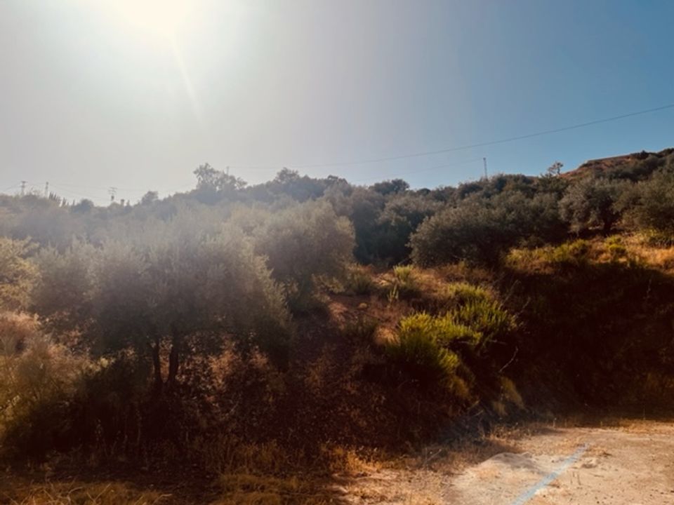 Landejendom i Colmenar, Malaga - foto 5
