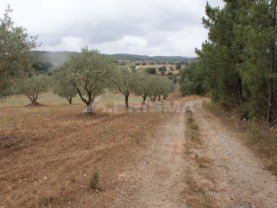 Tomt i Fundao, Castelo Branco - bilde 2