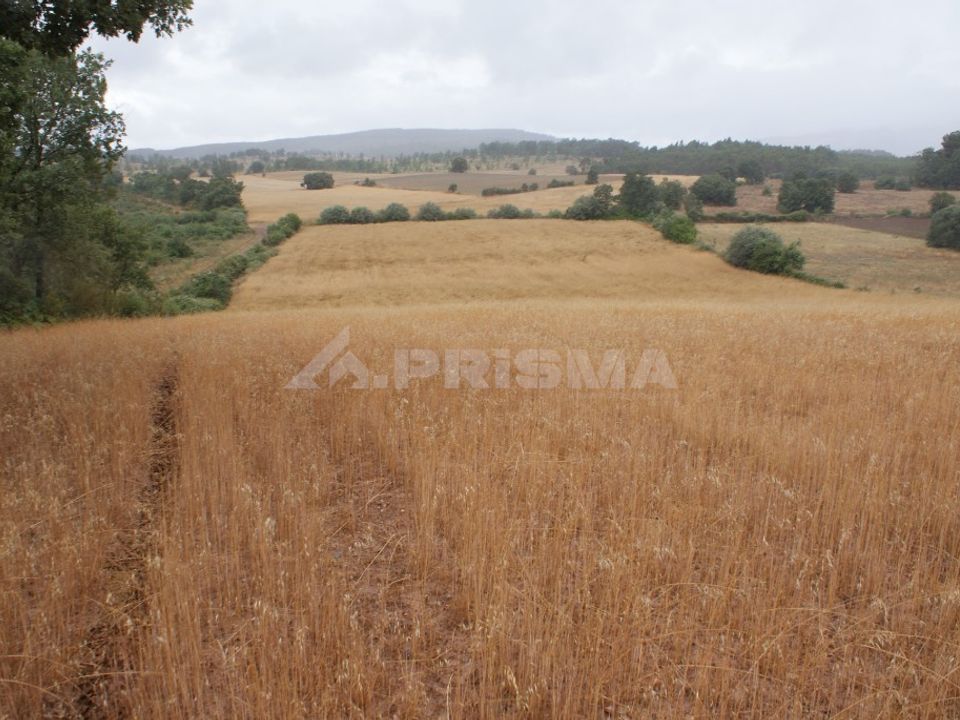 Tomt i Fundao, Castelo Branco - bilde 3
