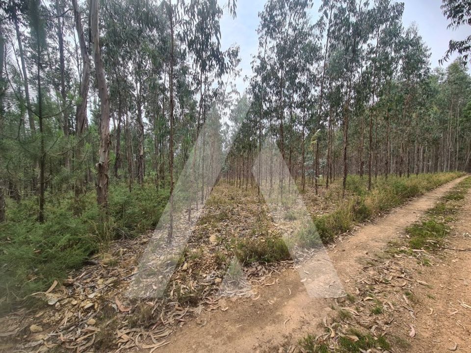 Erhvervsejendom i Oliveira de Azemeis, Aveiro - foto 2