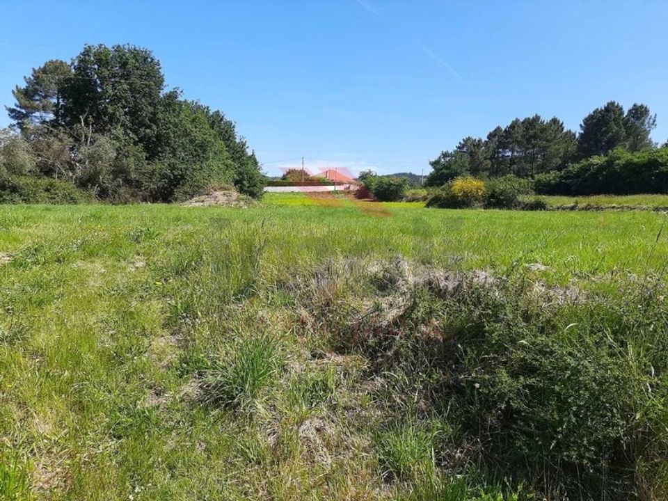 Tomt i Paredes de Coura, Viana do Castelo - bilde 1