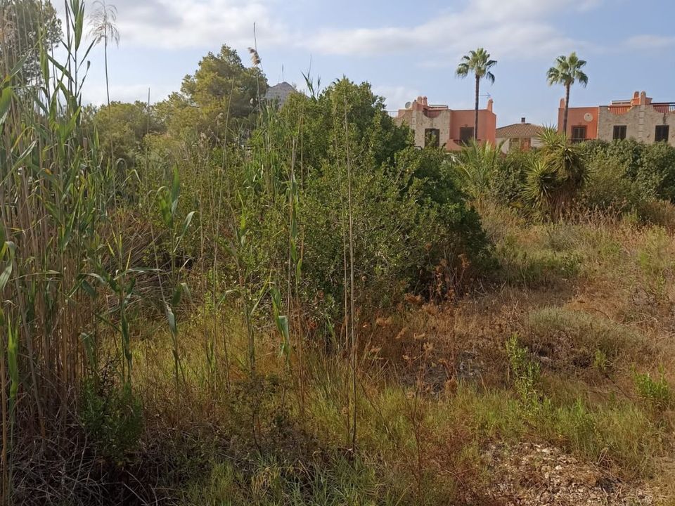 Tomt i Alcudia, Mallorca - bilde 2