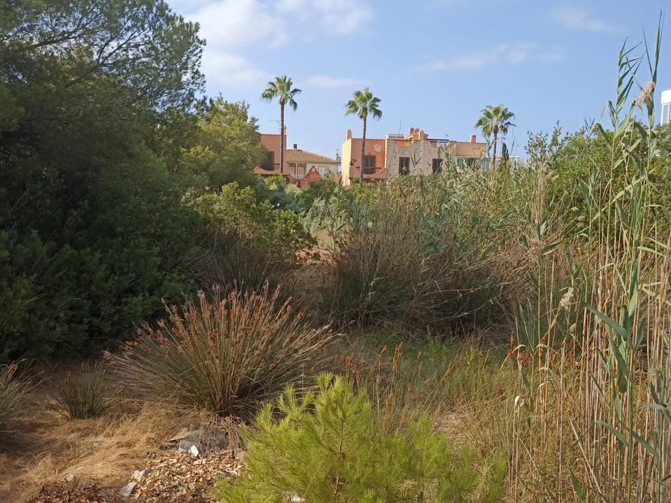 Tomt i Alcudia, Mallorca - bilde 3