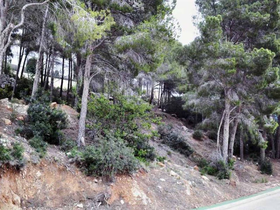 Tomt i Altea, Alicante - bilde 4