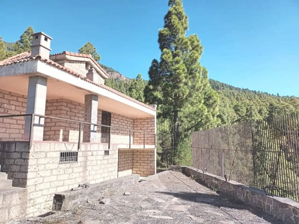 Finca i Arafo, Tenerife - foto 3