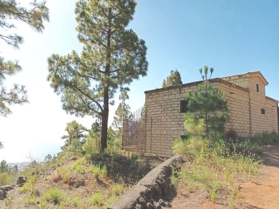 Finca i Arafo, Tenerife - foto 4