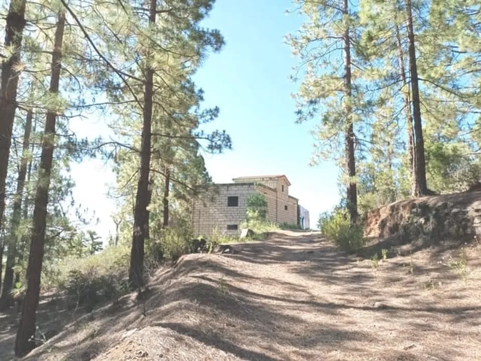 Finca i Arafo, Tenerife - foto 5