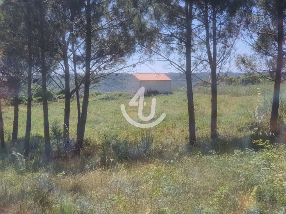 Villa i Nazare, Leiria - foto 5