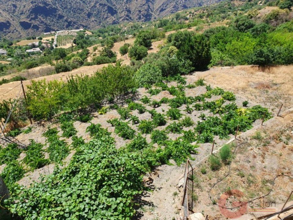 Lejlighed i Pitres, Granada - foto 3