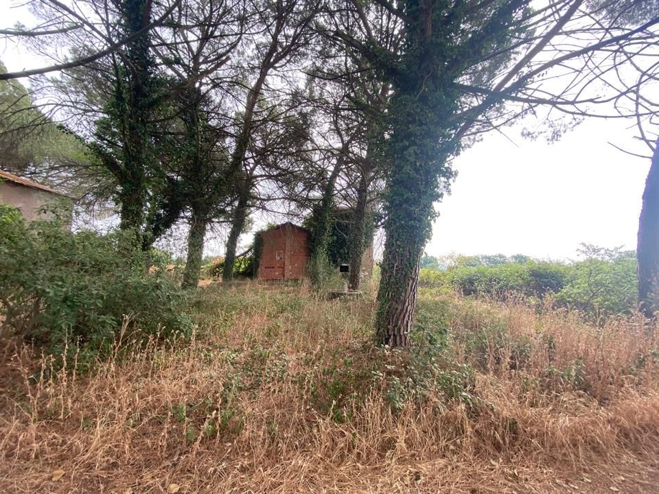 Gårdshus i Castiglione del Lago, Perugia - bilde 4