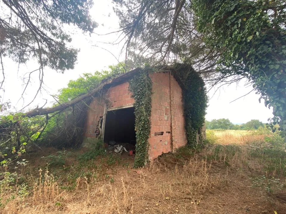 Gårdshus i Castiglione del Lago, Perugia - bilde 5
