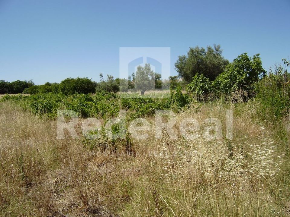 Ruinere i Benafim, Faro - foto 1
