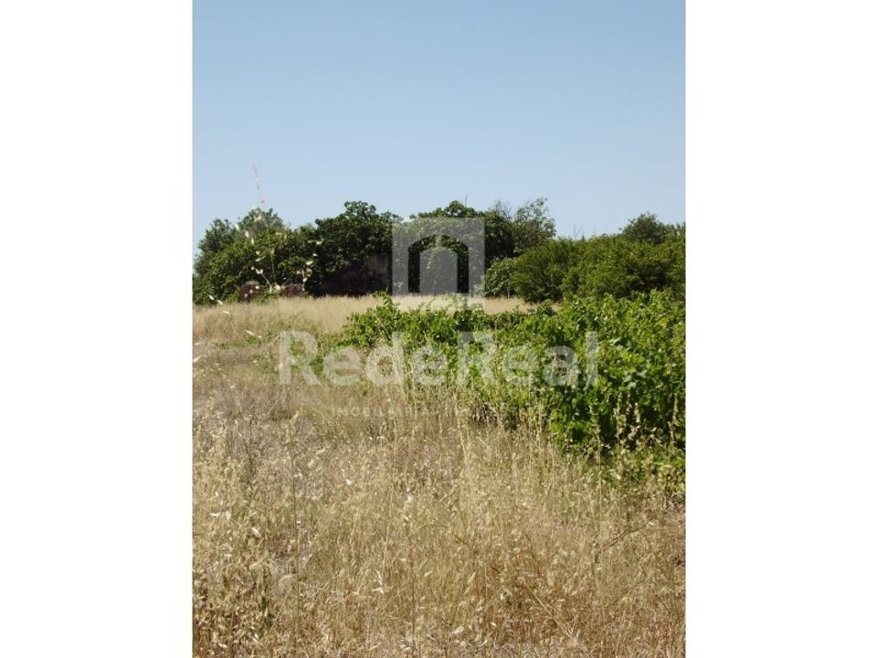 Ruinere i Benafim, Faro - foto 3
