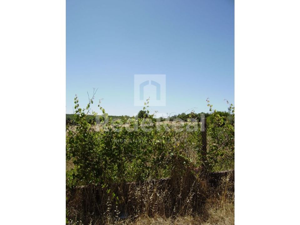 Ruinere i Benafim, Faro - foto 5