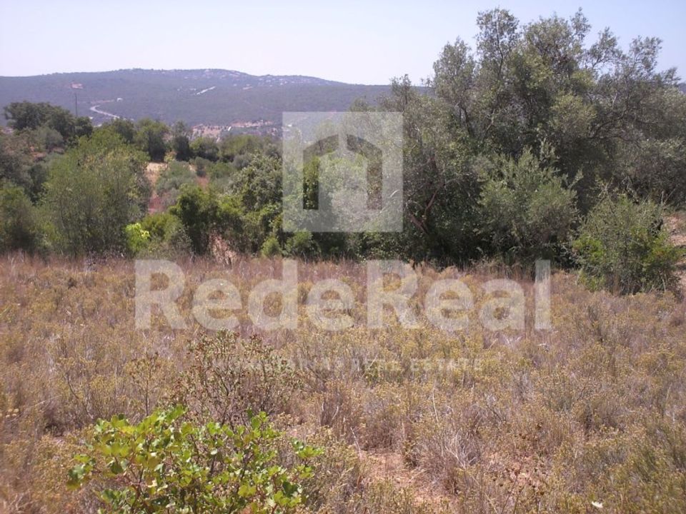 Helårsgrund i Benafim, Faro - foto 3