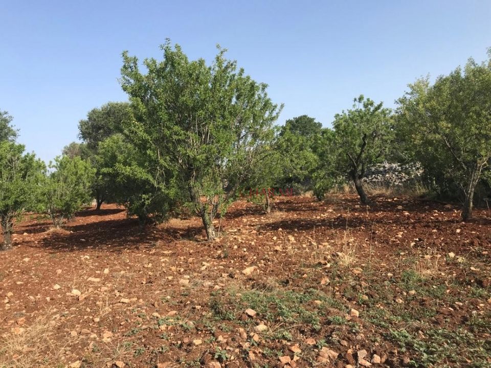 Landejendom i Ostuni, Brindisi - foto 5