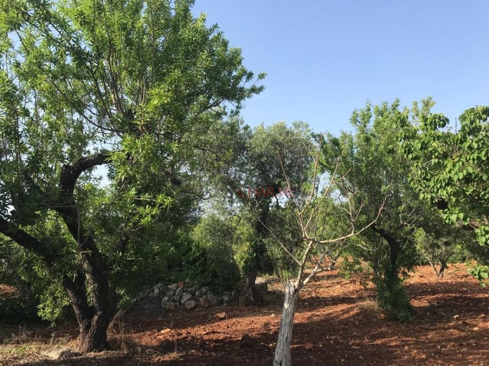 Landejendom i Ostuni, Brindisi - foto 2