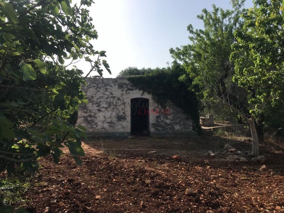 Landejendom i Ostuni, Brindisi - foto 3
