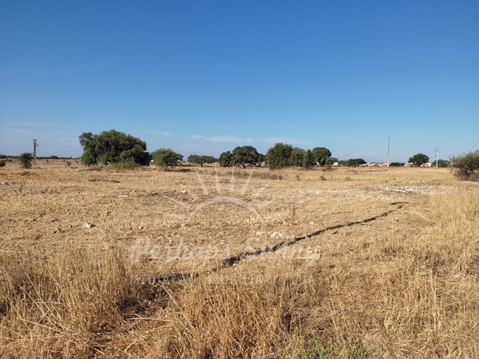 Tomt i Ermidas do Sado, Setubal - bilde 5