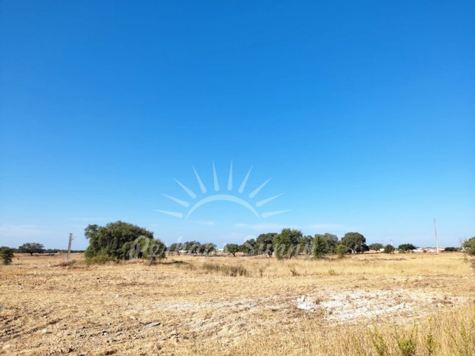 Tomt i Ermidas do Sado, Setubal - bilde 2