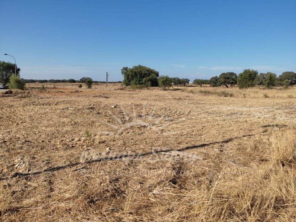 Tomt i Ermidas do Sado, Setubal - bilde 3
