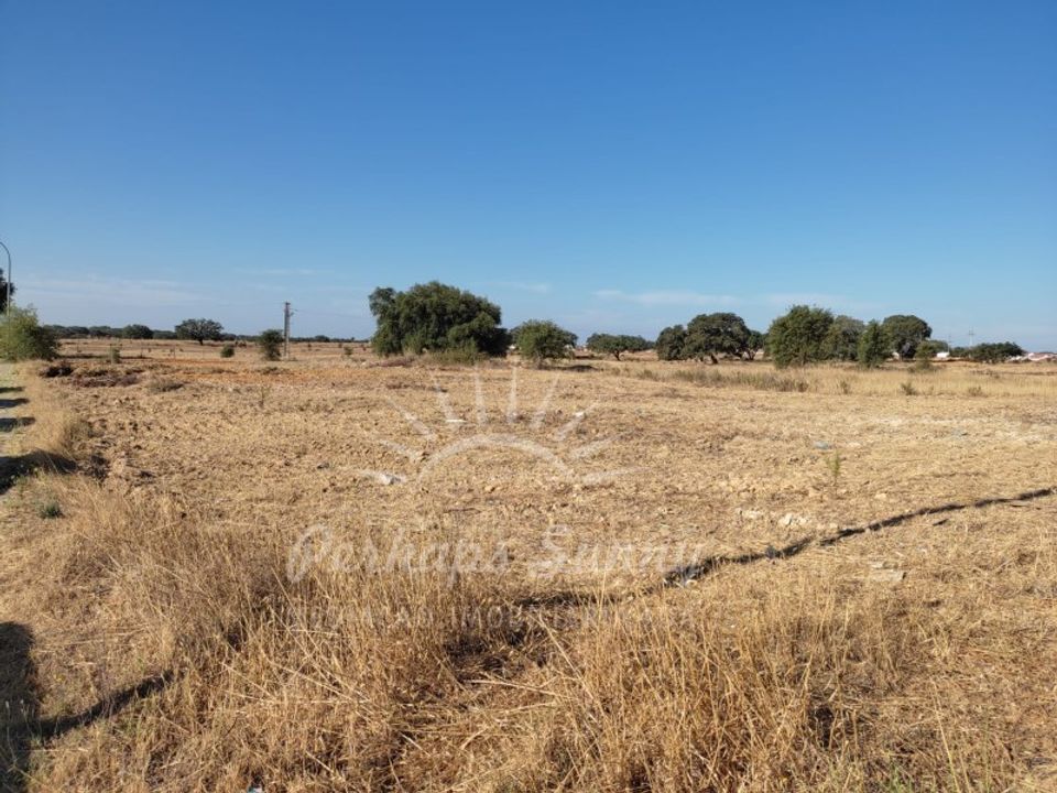 Tomt i Ermidas do Sado, Setubal - bilde 4