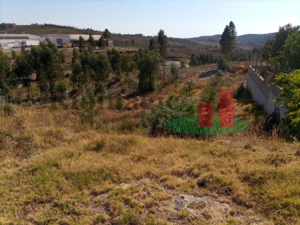 Terra a Macao, Santarem - foto 3
