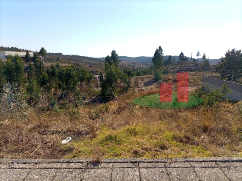 Terra a Macao, Santarem - foto 4