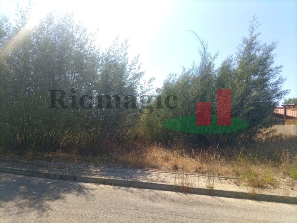 Helårsgrund i Macao, Santarem - foto 5