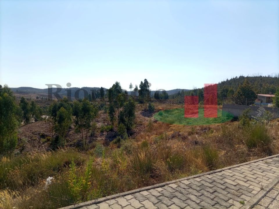 Helårsgrund i Macao, Santarem - foto 2