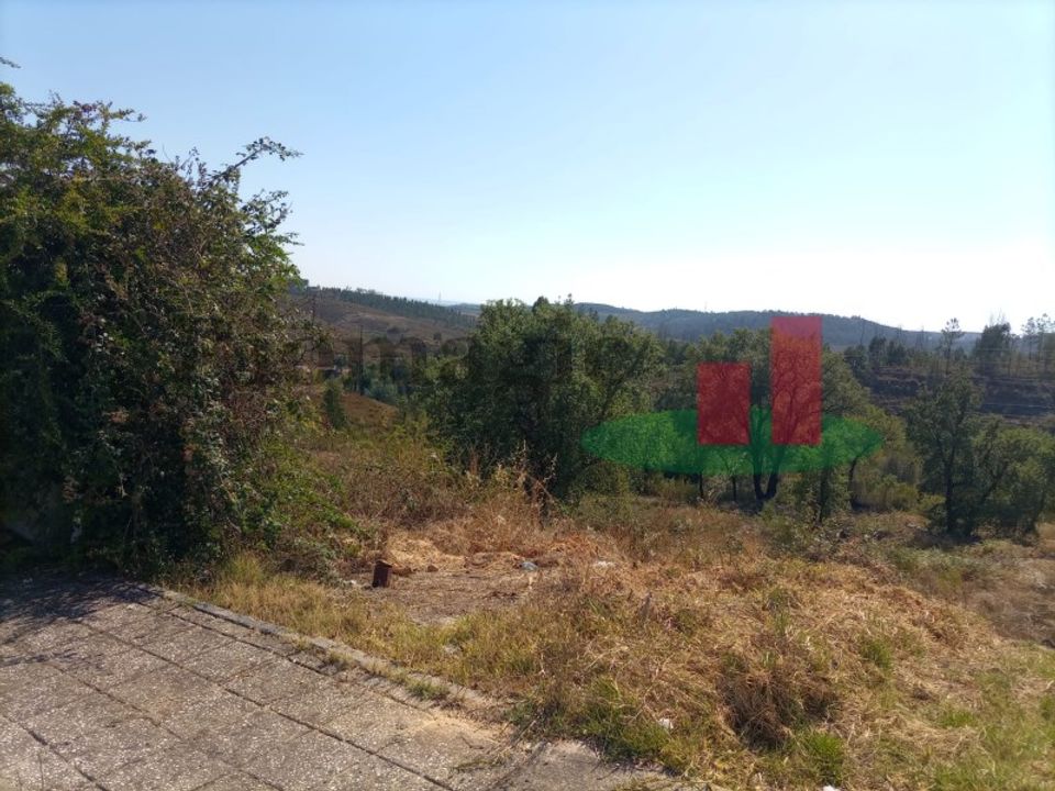 Helårsgrund i Macao, Santarem - foto 4