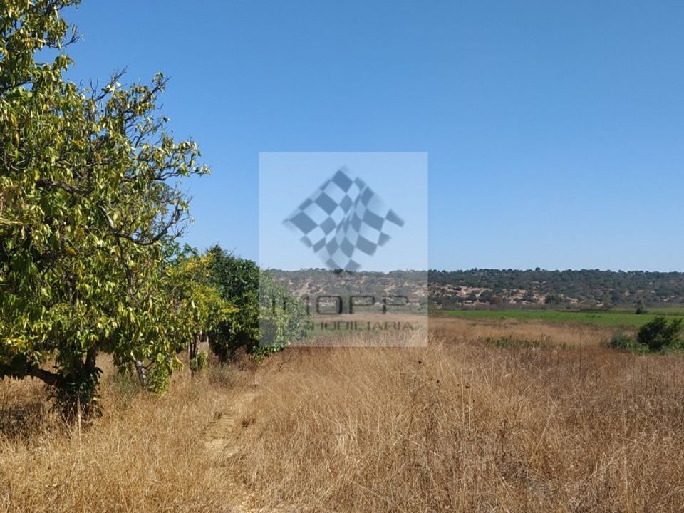 Helårsgrund i Couco, Santarem - foto 5