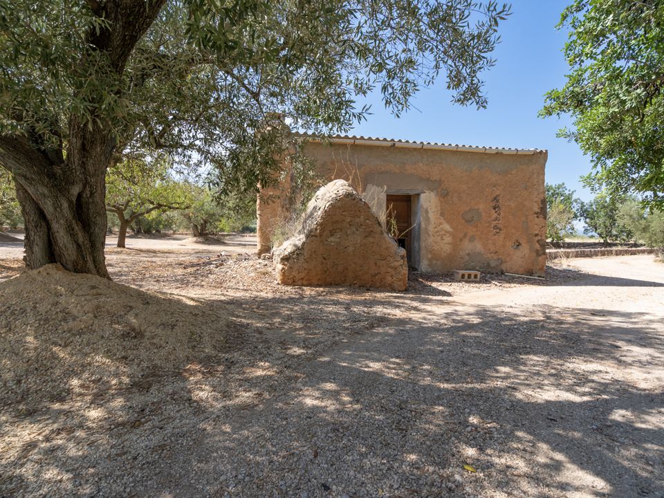 Gårdshus i Roquetes, Tarragona - bilde 2