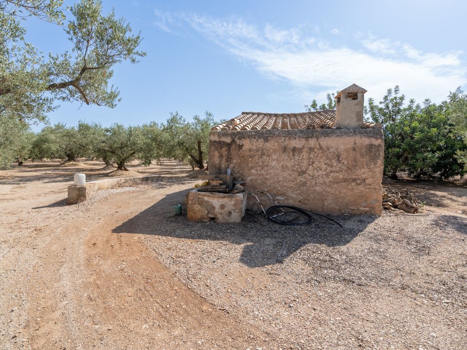 Finca i Roquetes, Tarragona - foto 4