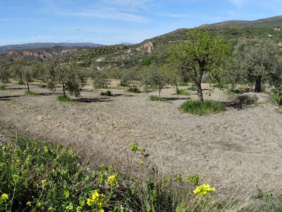 Terra a Valor, Granada - foto 2