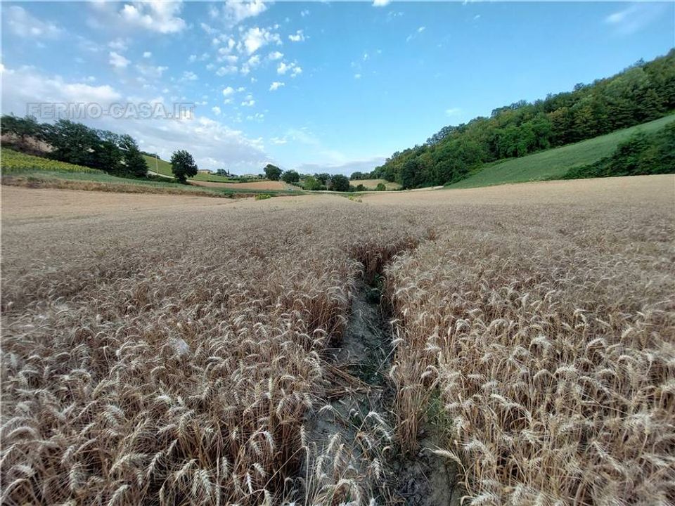 Helårsgrund i Montottone, Fermo - foto 1
