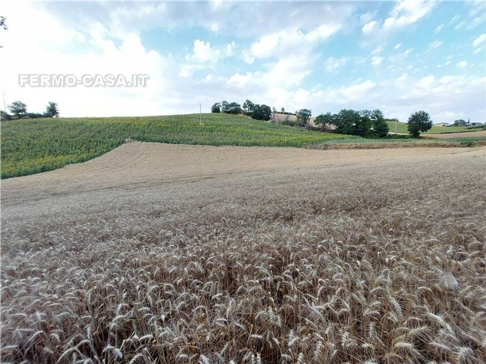 Helårsgrund i Montottone, Fermo - foto 2