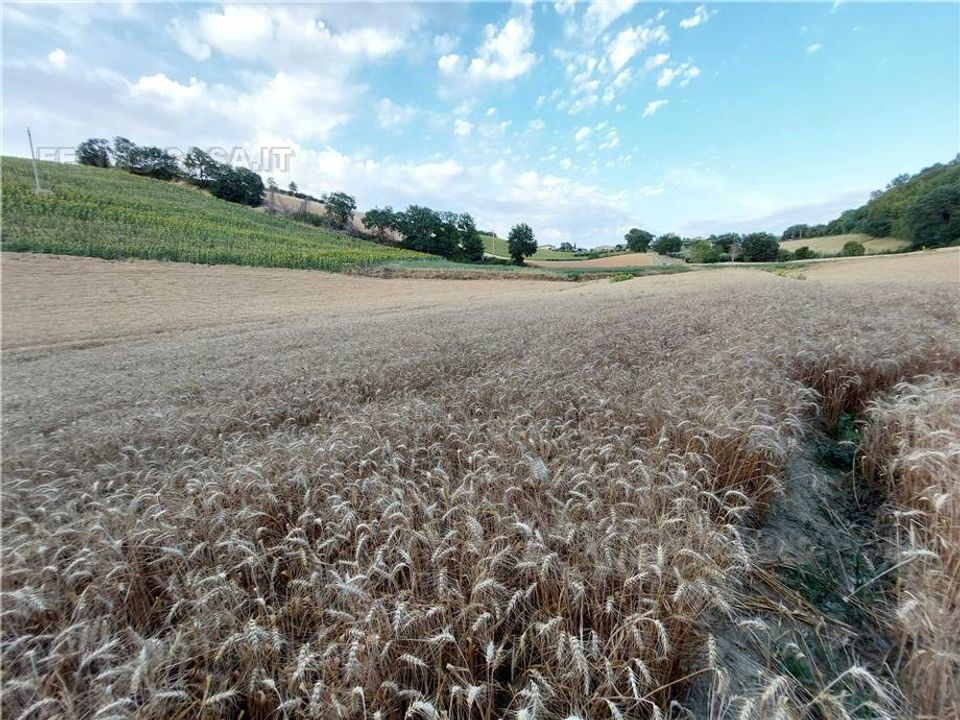 Helårsgrund i Montottone, Fermo - foto 3
