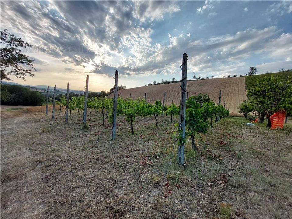 Helårsgrund i Montottone, Fermo - foto 5