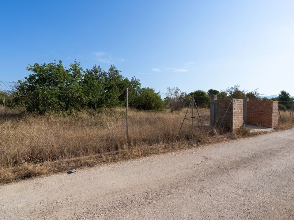 Finca i Tortosa, Tarragona - foto 2