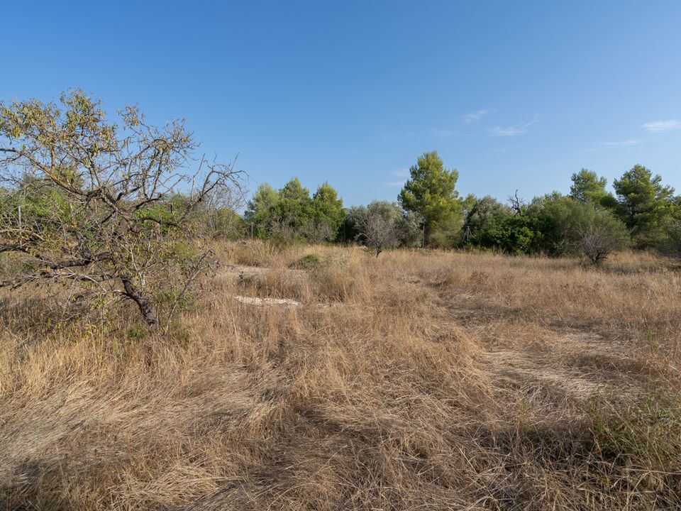 Finca i Tortosa, Tarragona - foto 5
