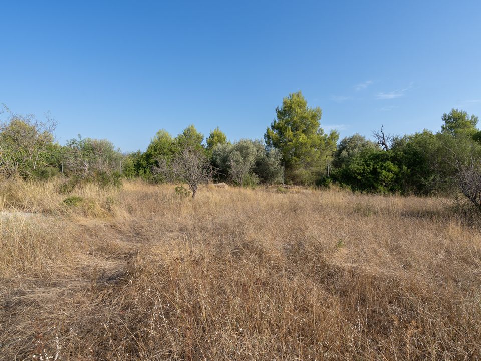 Finca i Tortosa, Tarragona - foto 4
