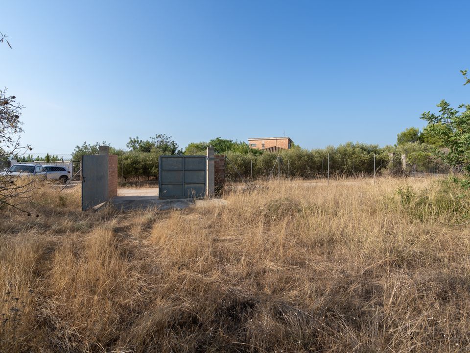 Finca i Tortosa, Tarragona - foto 3